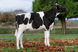 CUNDINS RALLY FIV ET          