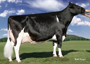 REGANCREST-PR BARBIE ET