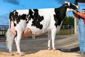 CAAMAÑO GANXABAR 7908 MISSOURI