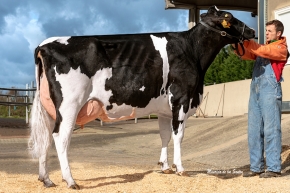 GRILLE MILKTIME 1245 ET