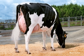 GRILLE MILKTIME 1245 ET